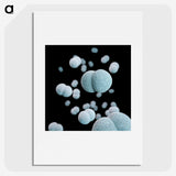 2-17_COVID-19_picture