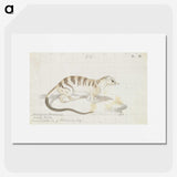 2-17_Charles-Hamilton-Smith_picture