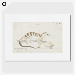 2-17_Charles-Hamilton-Smith_picture