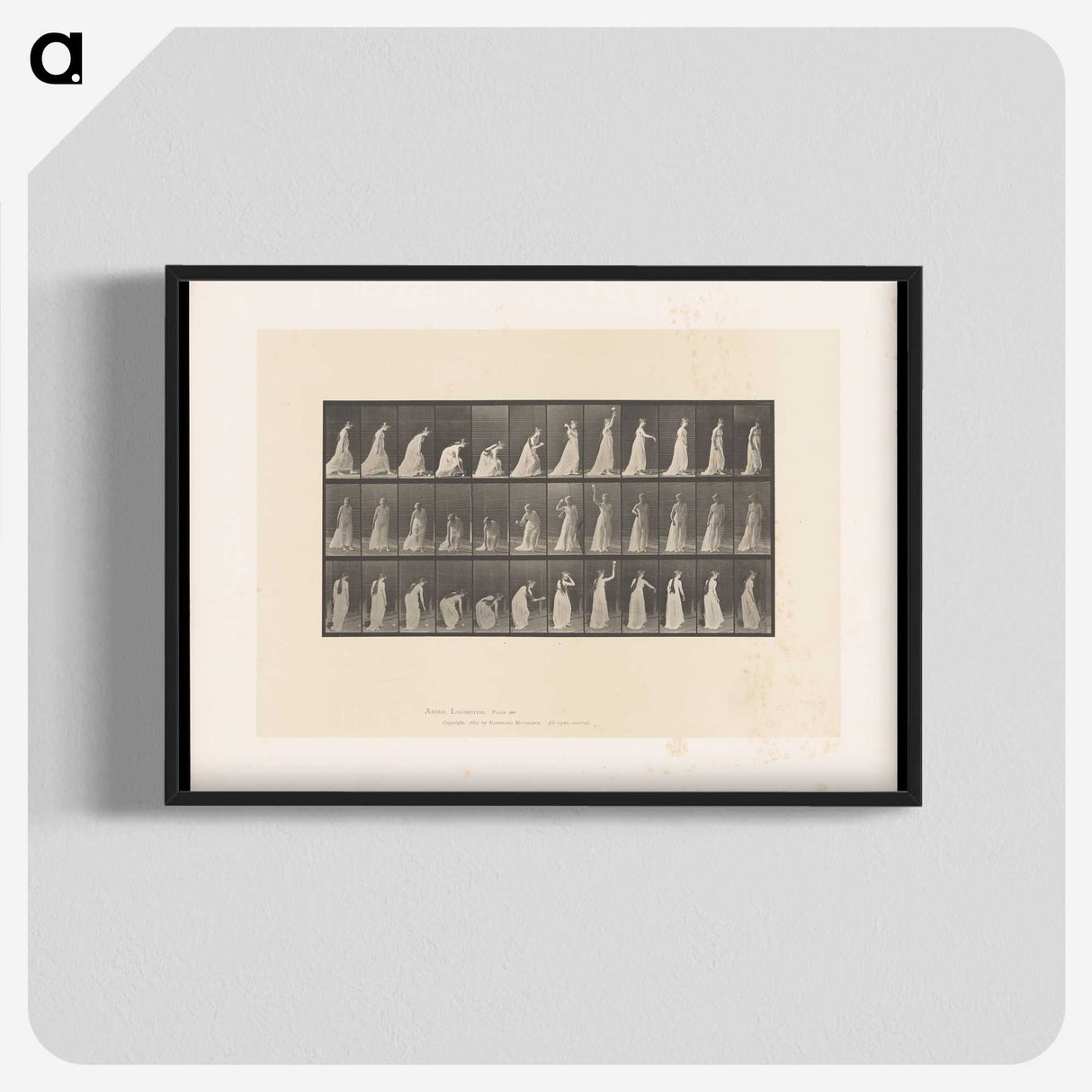2-17_Eadweard-Muybridge_blk-crop