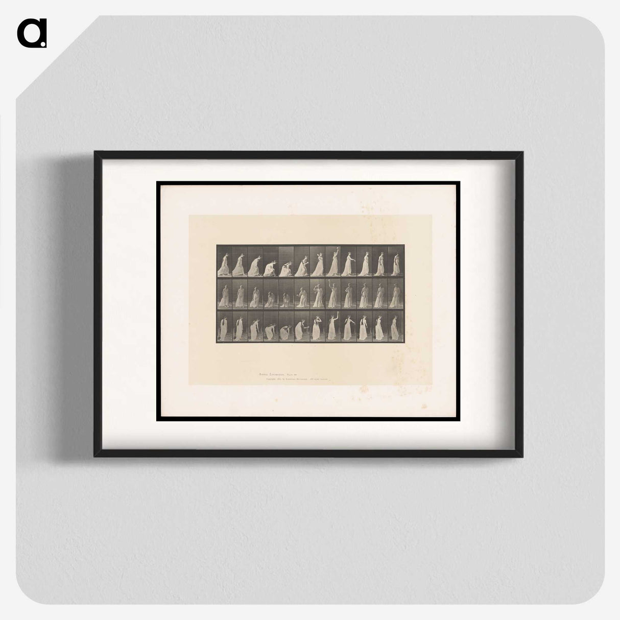 2-17_Eadweard-Muybridge_blk