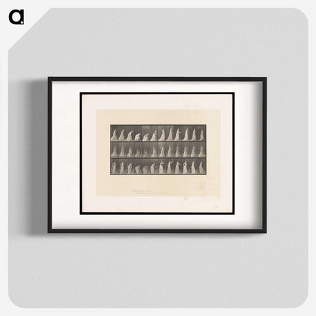 2-17_Eadweard-Muybridge_blk