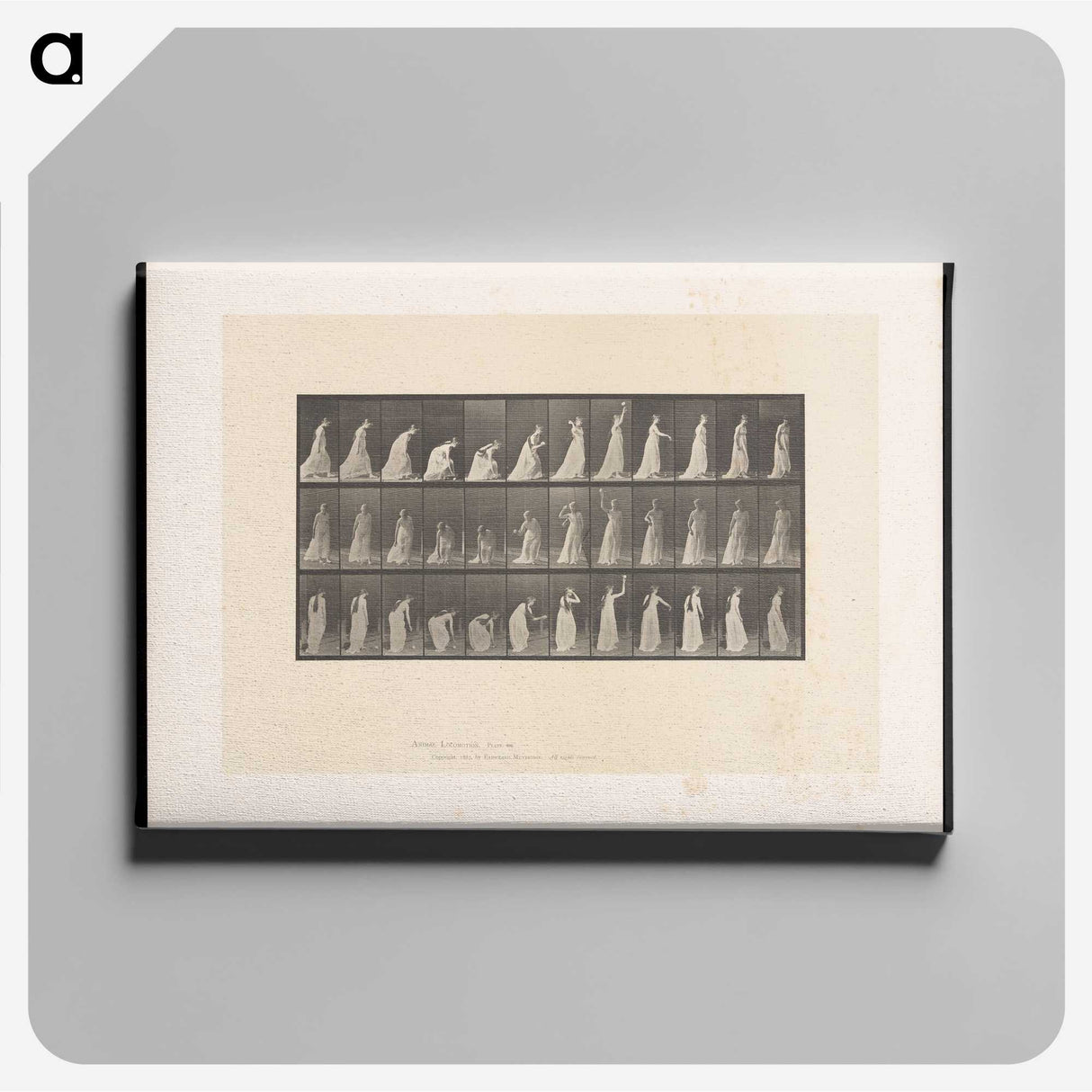 2-17_Eadweard-Muybridge_canvas