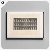 2-17_Eadweard-Muybridge_canvas