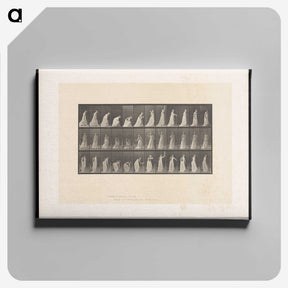 2-17_Eadweard-Muybridge_canvas