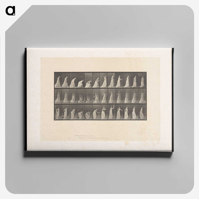 2-17_Eadweard-Muybridge_canvas