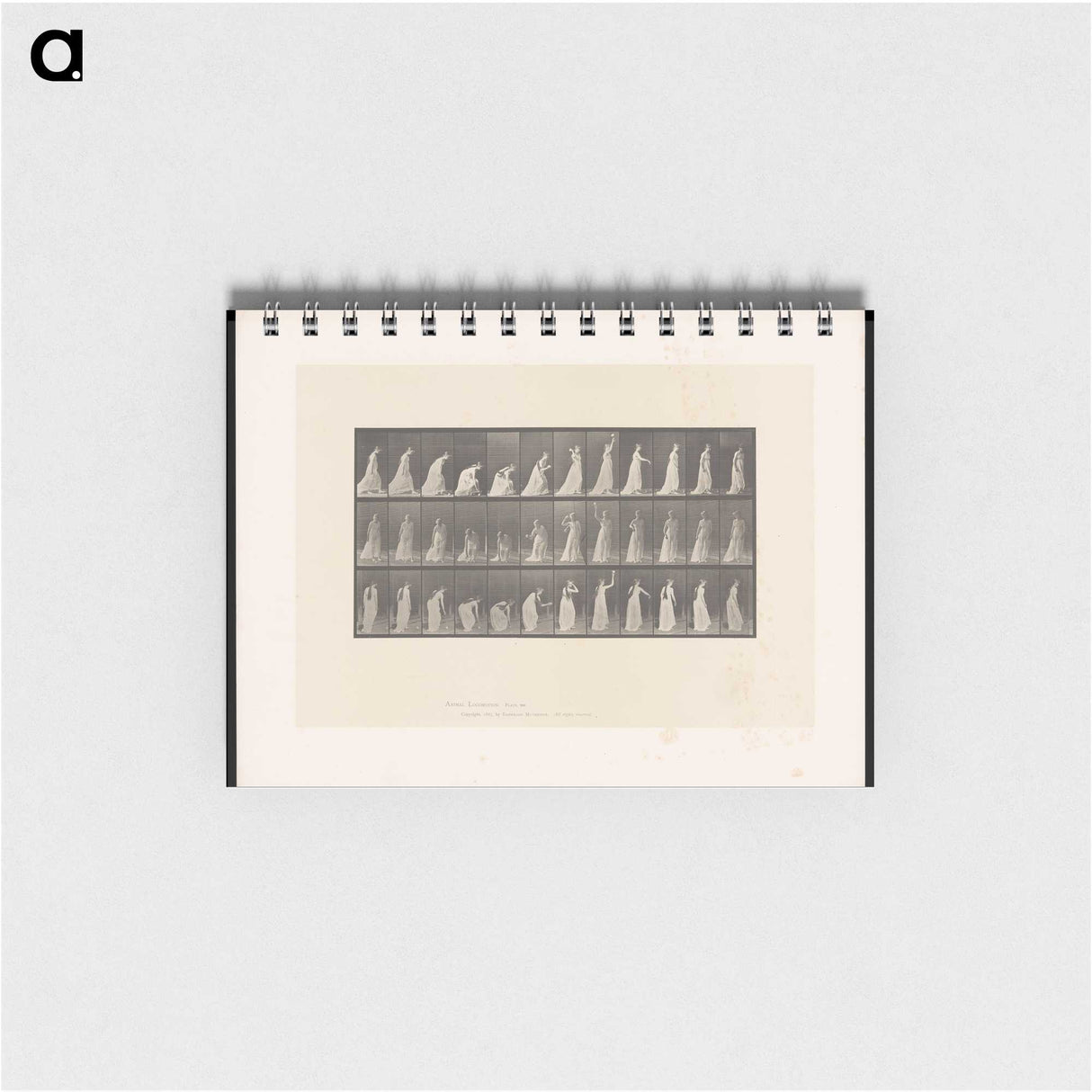 2-17_Eadweard-Muybridge_memo