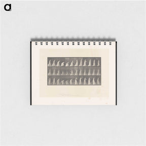 2-17_Eadweard-Muybridge_memo