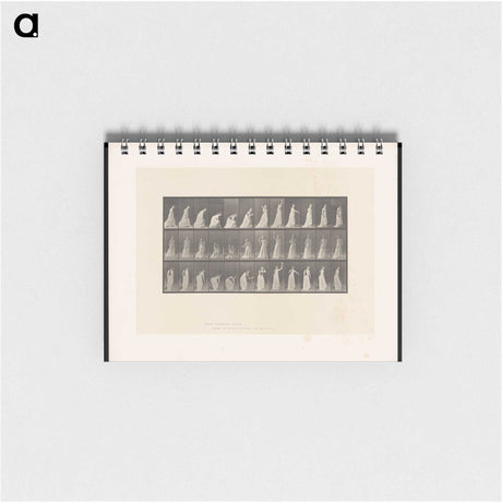 2-17_Eadweard-Muybridge_memo