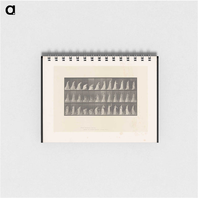 2-17_Eadweard-Muybridge_memo
