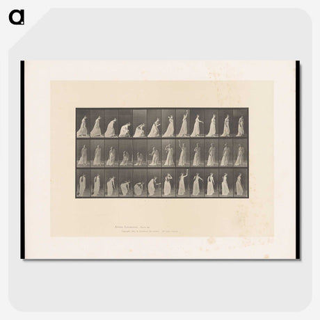 2-17_Eadweard-Muybridge_picture-crop