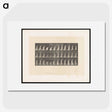 2-17_Eadweard-Muybridge_picture