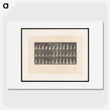 2-17_Eadweard-Muybridge_picture