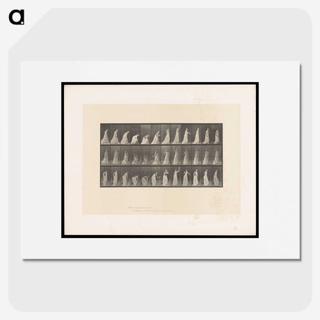 2-17_Eadweard-Muybridge_picture