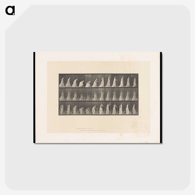 2-17_Eadweard-Muybridge_postcard