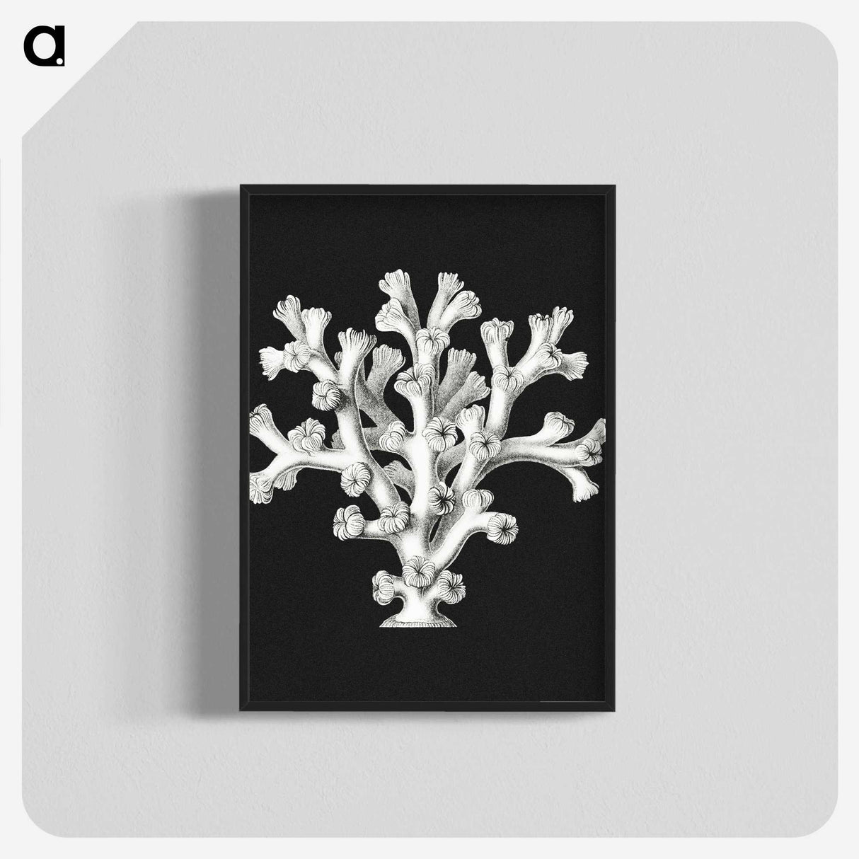 2-17_Ernst-Haeckel_blk-crop