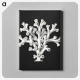 2-17_Ernst-Haeckel_canvas