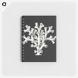 2-17_Ernst-Haeckel_memo