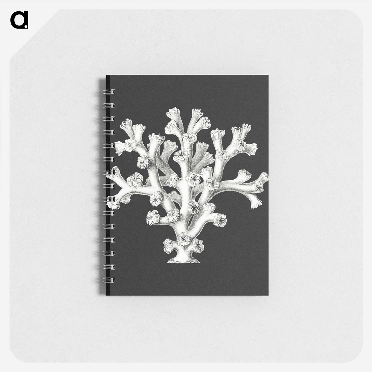 2-17_Ernst-Haeckel_memo