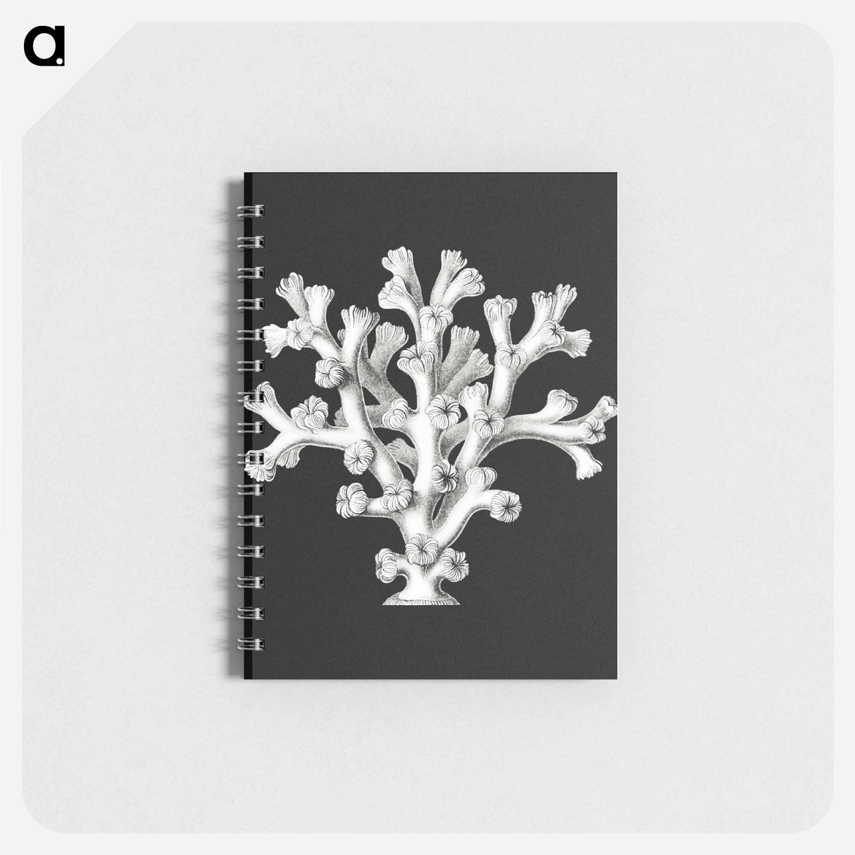 アートメモ帳-Vintage coral marine life illustration - エルンスト ヘッケル Memo.