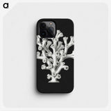 2-17_Ernst-Haeckel_phone
