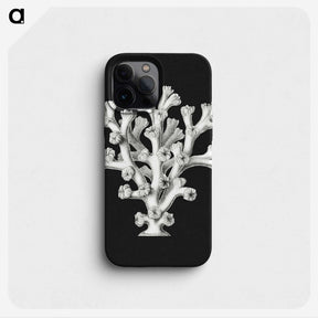 2-17_Ernst-Haeckel_phone
