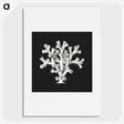 2-17_Ernst-Haeckel_picture