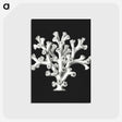 2-17_Ernst-Haeckel_postcard