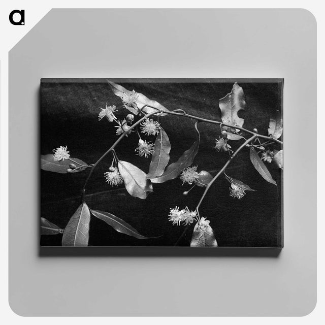 2-17_Frederick-Charles-Brockett_canvas