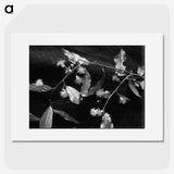 2-17_Frederick-Charles-Brockett_picture