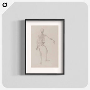 アートポスター-Human Skeleton, Posterior View
 - ジョージ スタッブス Poster.