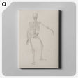 2-17_George-Stubbs_canvas