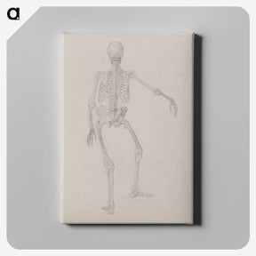 2-17_George-Stubbs_canvas