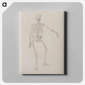 アートパネル-Human Skeleton, Posterior View
 - ジョージ スタッブス Canvas.