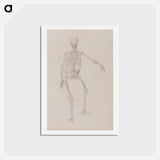 アートポストカード-Human Skeleton, Posterior View
 - ジョージ スタッブス Postcard.