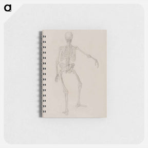 アートメモ帳-Human Skeleton, Posterior View
 - ジョージ スタッブス Memo.