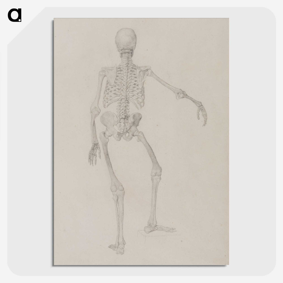 2-17_George-Stubbs_picture-crop