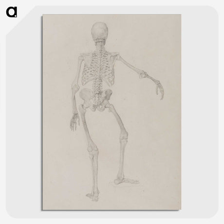 2-17_George-Stubbs_picture-crop