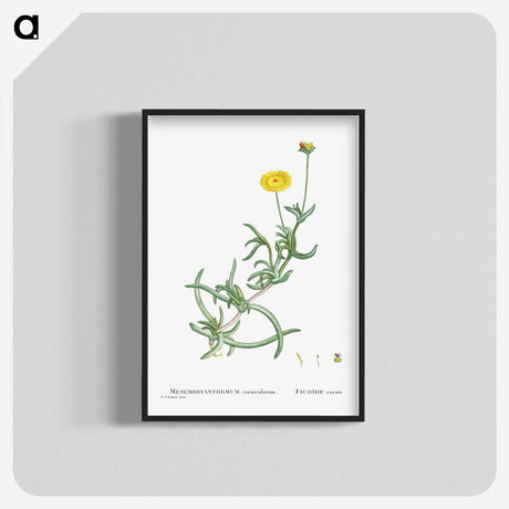 2-17_Histoire-des-Plantes-Grasses_blk-crop