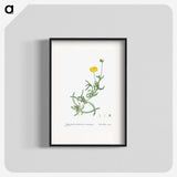 2-17_Histoire-des-Plantes-Grasses_blk
