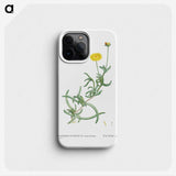 2-17_Histoire-des-Plantes-Grasses_phone
