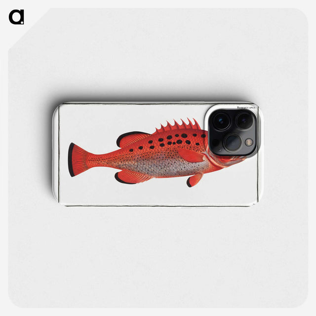 2-17_Ichtyologie-ou-Histoire-naturelle_phone
