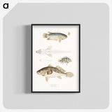 2-17_Indian-Zoology_blk-crop