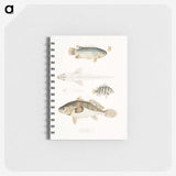 2-17_Indian-Zoology_memo