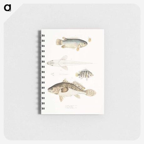 2-17_Indian-Zoology_memo