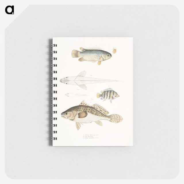 2-17_Indian-Zoology_memo