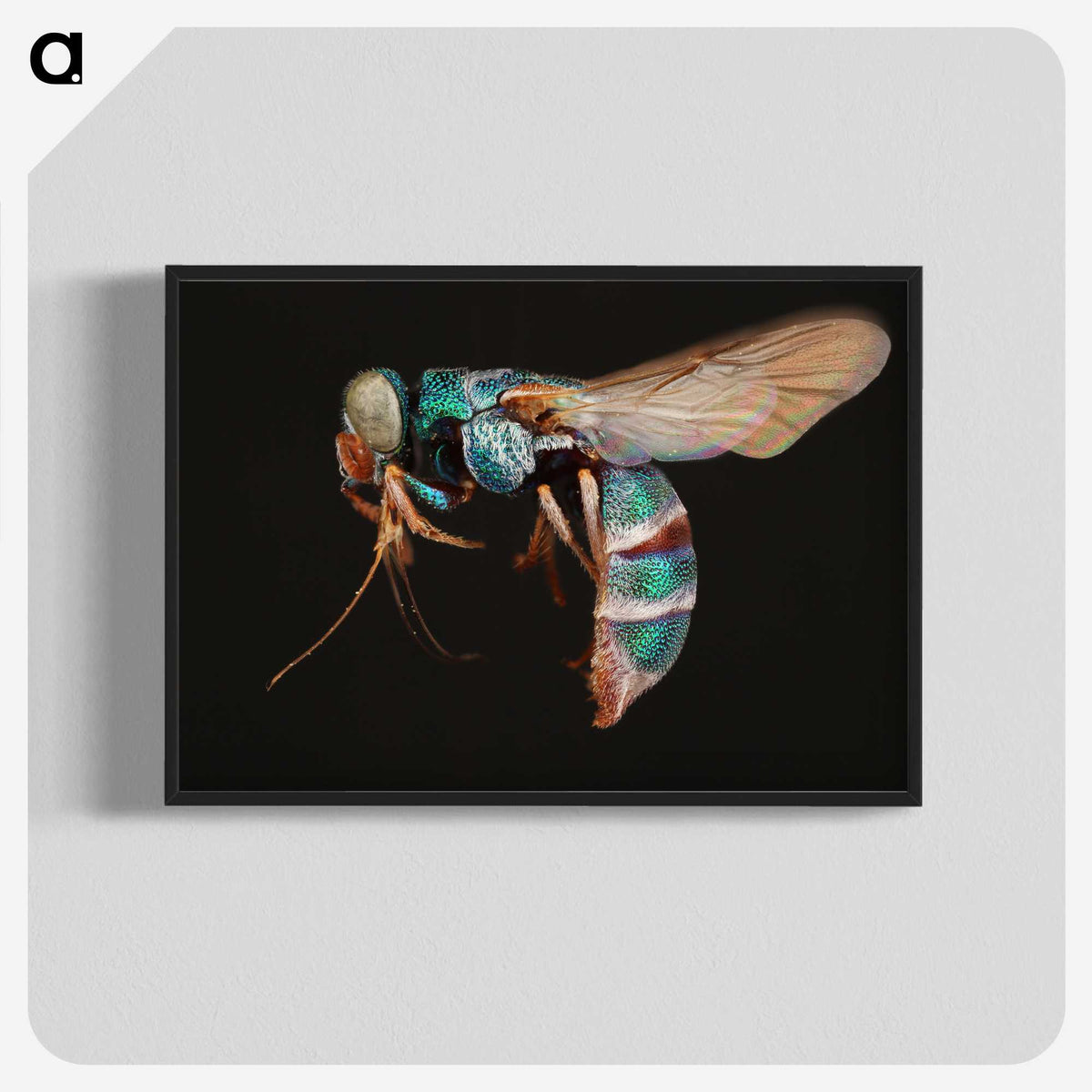 2-17_Insects-Unlocked-Project_blk-crop