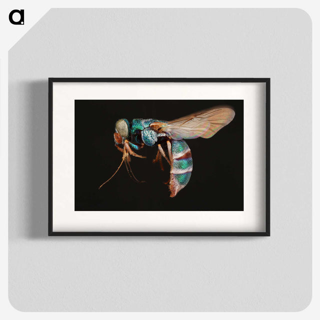 2-17_Insects-Unlocked-Project_blk