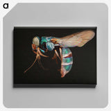 2-17_Insects-Unlocked-Project_canvas
