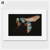 2-17_Insects-Unlocked-Project_picture